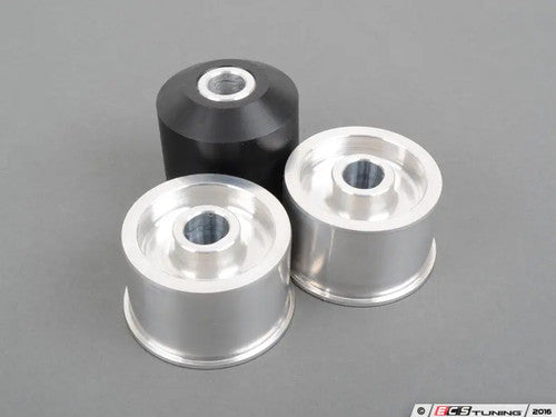 Turner Motorsport Rear Differential Mounts - Solid Aluminum/Delrin Race - E36